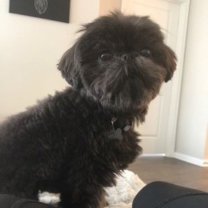 Meet your Posher, Eva